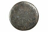 Stony Chondrite Cabochon ( g) - Meteorite #238211-1